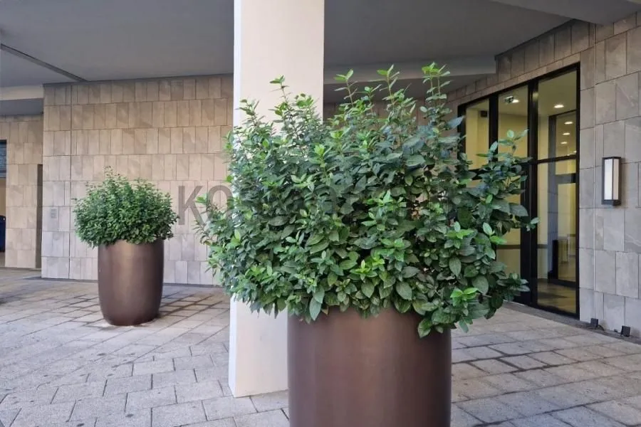 Rent, two bedroom apartment, 52m², Savski Venac, Beograd