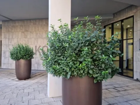 Rent, two bedroom apartment, 52m², Savski Venac, Beograd - image 13