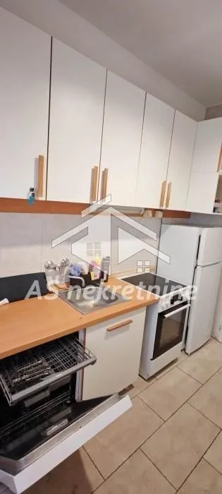 Izdavanje, kuća, 500m², Profesorska Kolonija, Palilula Sve Podlokacije