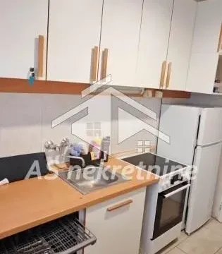 Izdavanje, kuća, 500m², Profesorska Kolonija, Palilula Sve Podlokacije - image 5