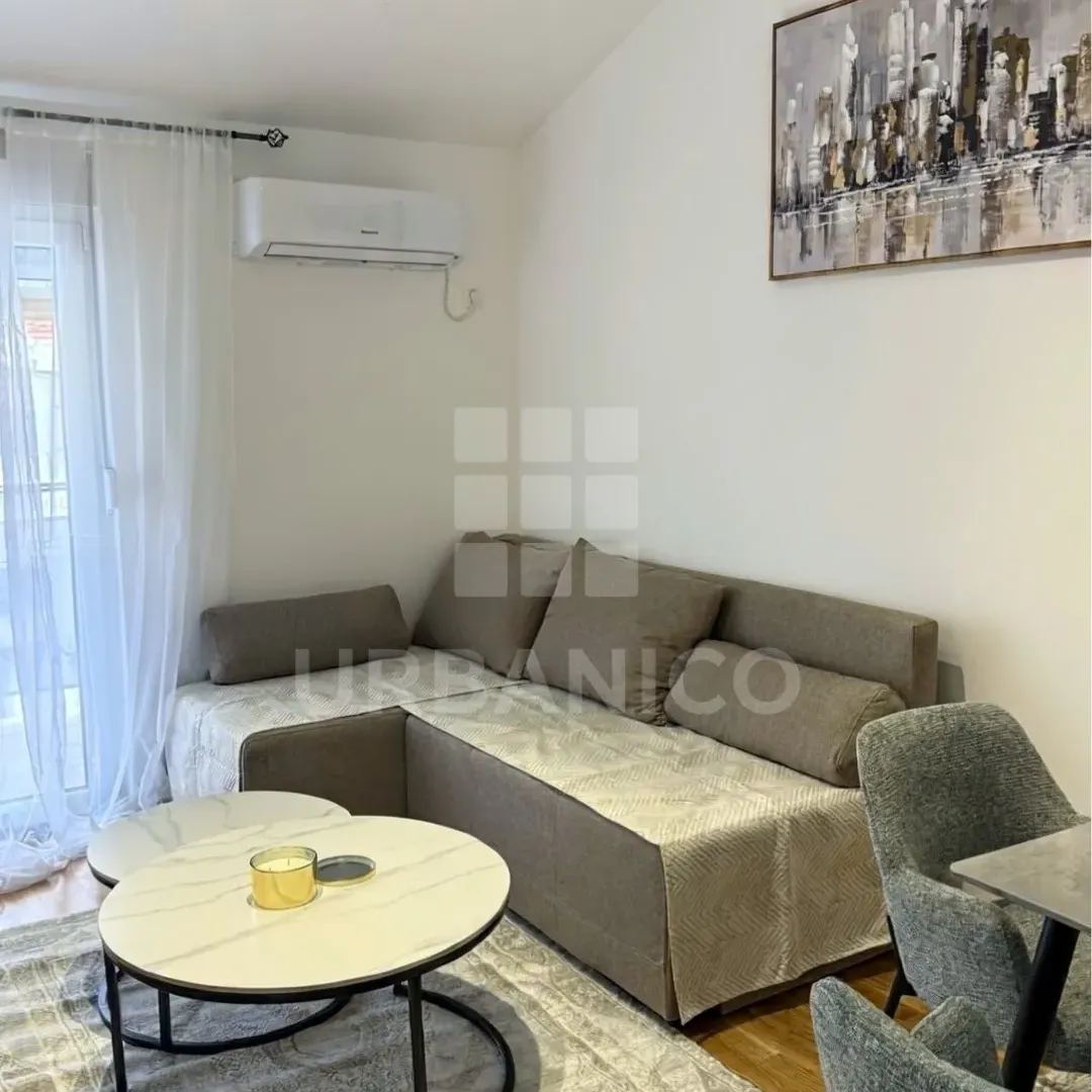 Rent, one bedroom apartment, 42m², Zagorič, Podgorica