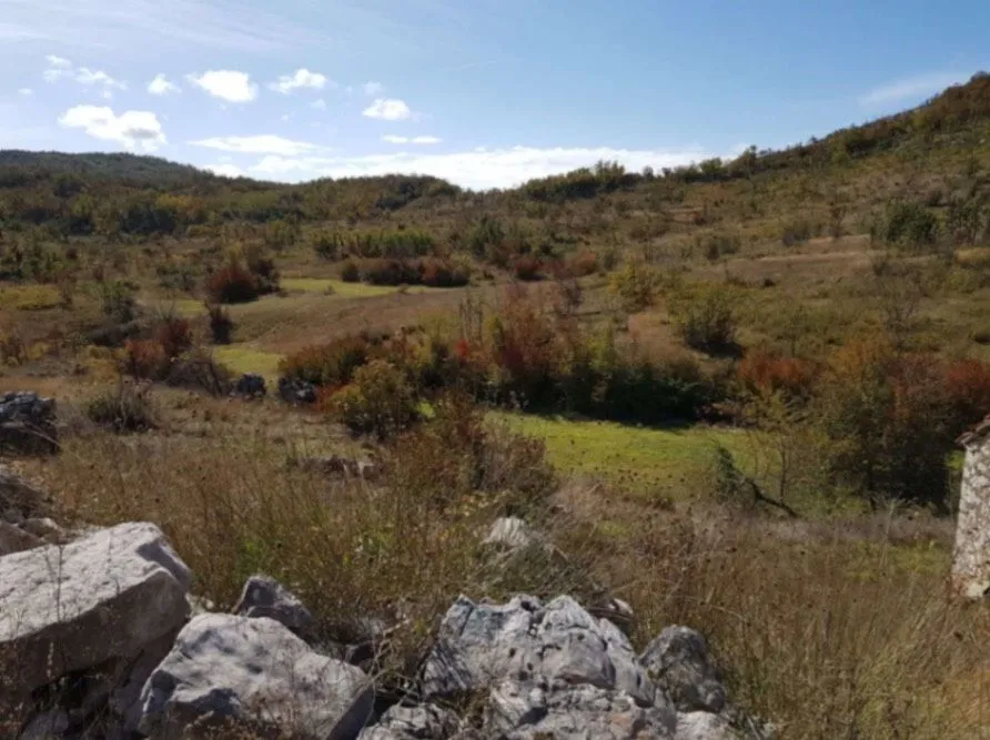 Prodaja, plac, 529000m², Grahovac, Nikšić