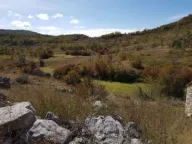Prodaja, plac, 529000m², Grahovac, Nikšić - image 10