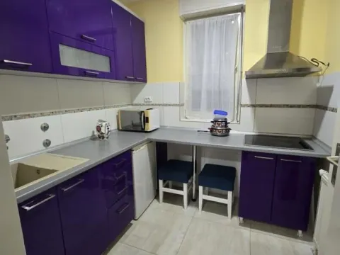 Rent, two bedroom apartment, 60m², Grbavica, Novi Sad Sve Podlokacije - image 5
