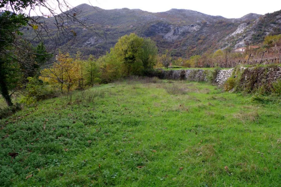 Prodaja, plac, 7000m², Dobrsko Selo, Cetinje