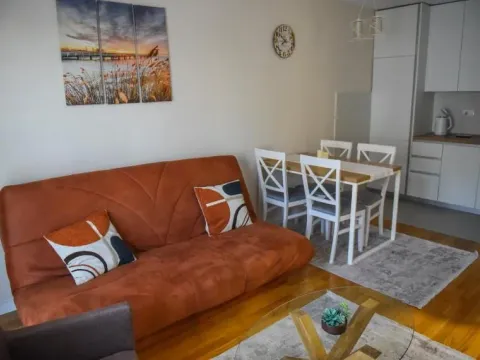 Izdavanje, jednosoban stan, 40m², Pobrežje, Podgorica - image 9