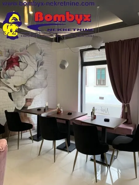Sale, office space, 205m², Sremski Karlovci, Novi Sad