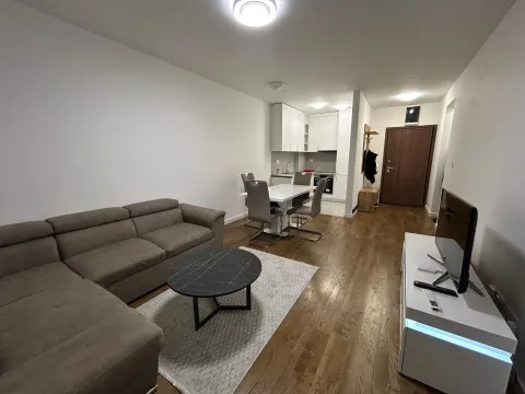 Izdavanje, jednosoban stan, 47m², Stari Aerodrom, Podgorica - image 6