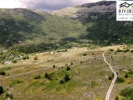 Sale, land lot, 14200m², Vrbanj, Herceg Novi - image 4