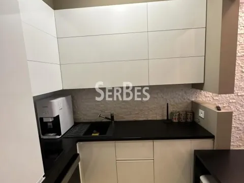 Izdavanje, dvosoban stan, 50m², Bulevar Oslobodjenja, Novi Sad Sve Podlokacije - image 9