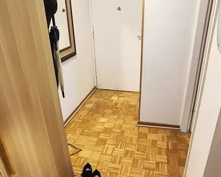 Izdavanje, dvosoban stan, 43m², Čukarica, Beograd - image 8