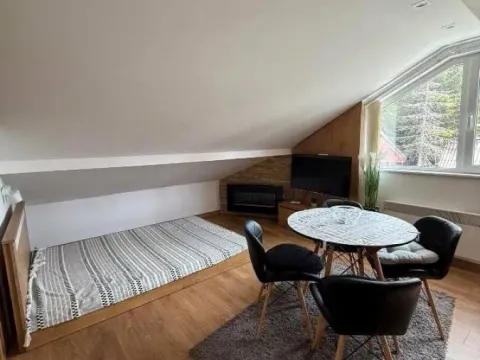 Prodaja, ugostiteljski objekat, 482m², Treska, Kopaonik - image 11