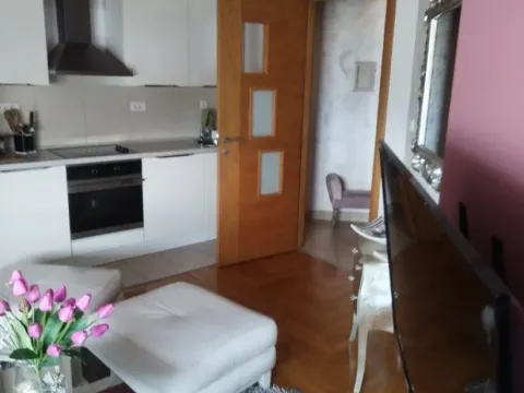 Daily-rent, one bedroom apartment, 43m², Stari Aerodrom, Podgorica - image 2