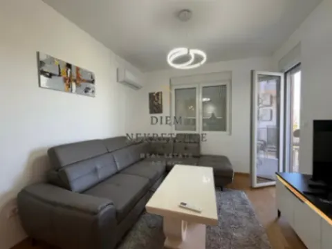 Izdavanje, jednosoban stan, 43m², Zabjelo, Podgorica - image 10