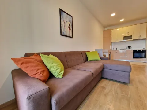 Izdavanje, jednosoban stan, 41m², Budva, Crna Gora - image 4