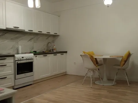 Izdavanje, jednosoban stan, 42m², Centar, Podgorica - image 2