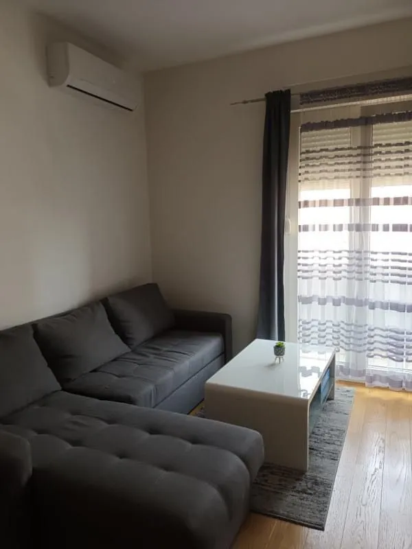 Izdavanje, jednosoban stan, 45m², Central Point, Podgorica