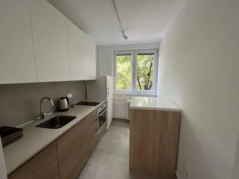Rent, two bedroom apartment, 54m², Kalenić Pijaca, Vračar Sve Podlokacije - image 3