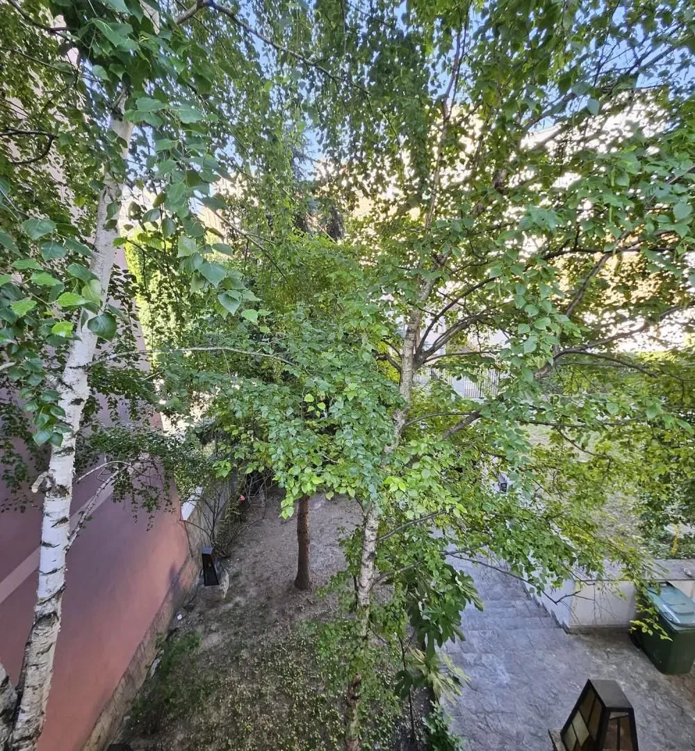 Izdavanje, poslovni prostor, 114m², Slavujev Venac, Zvezdara Sve Podlokacije