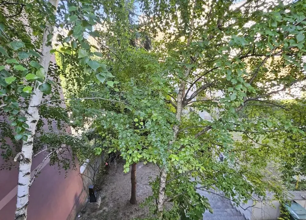 Izdavanje, poslovni prostor, 114m², Slavujev Venac, Zvezdara Sve Podlokacije