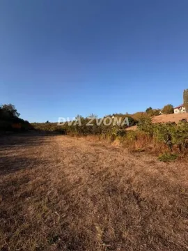 Pogled na prostrano zemljište sa rastinjem i drvećem pod vedrim nebom. - image 3