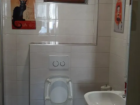 Prodaja, četvorosoban stan, 166m², Vračar Sve Podlokacije, Beograd - image 7