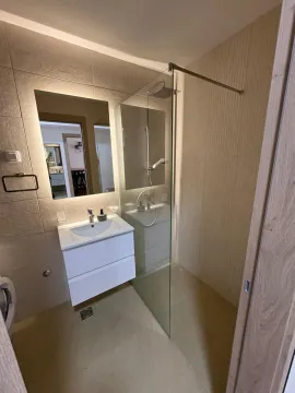 Modern bathroom with a sink and a walk-in shower. - image 6