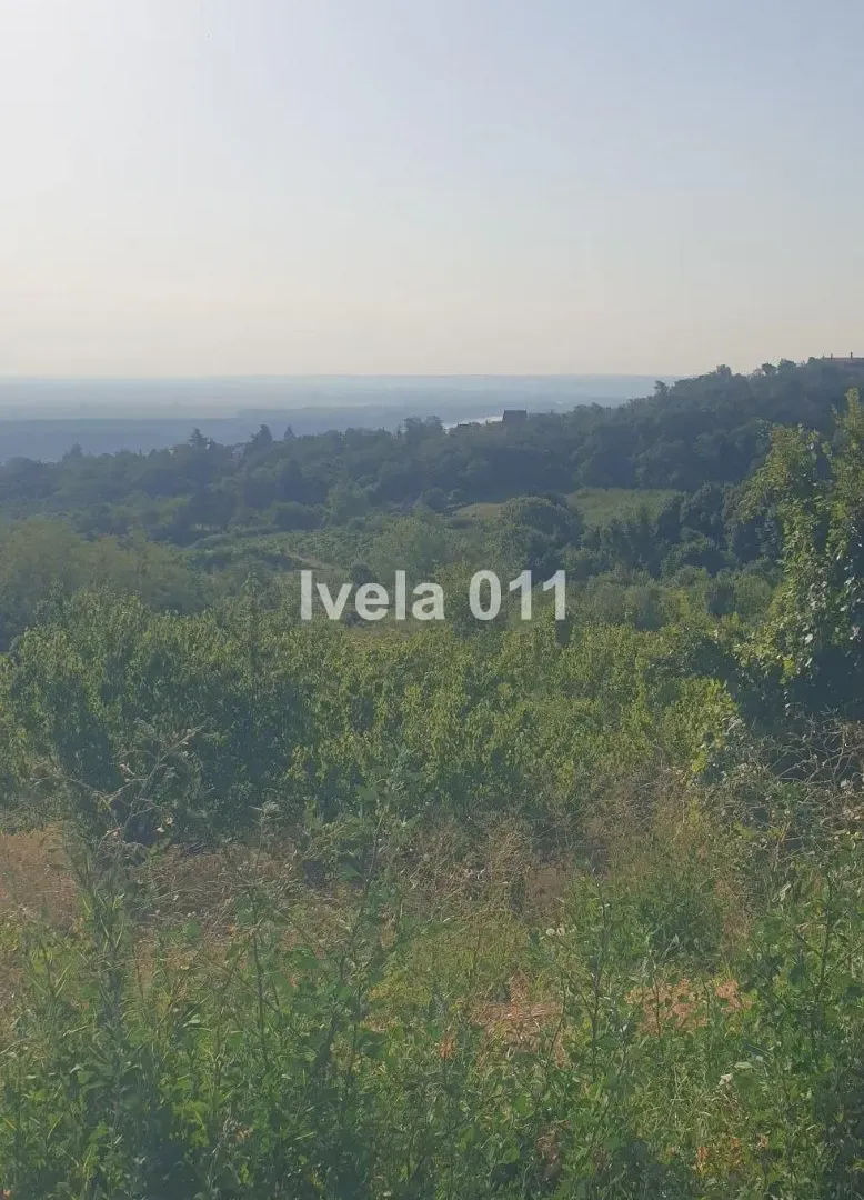 Prodaja, plac, 9400m², Grocka, Beograd