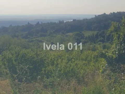 Prodaja, plac, 9400m², Grocka, Beograd - image 3