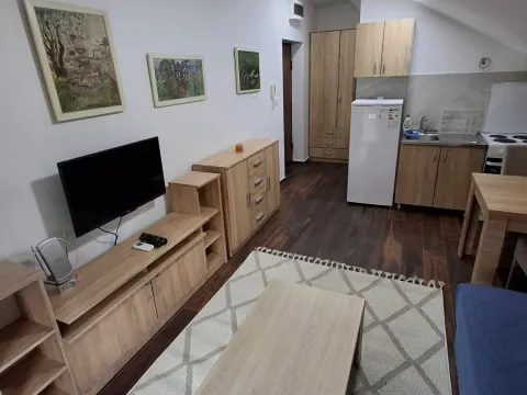 Izdavanje, garsonjera, 22m², Dalmatinska ulica, Podgorica - image 2