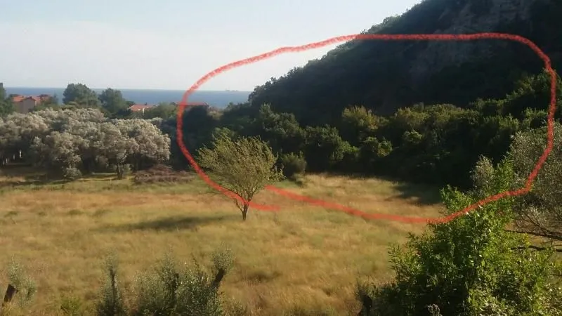 Pogled na zelenu parcelu sa ucrtanom granicom.