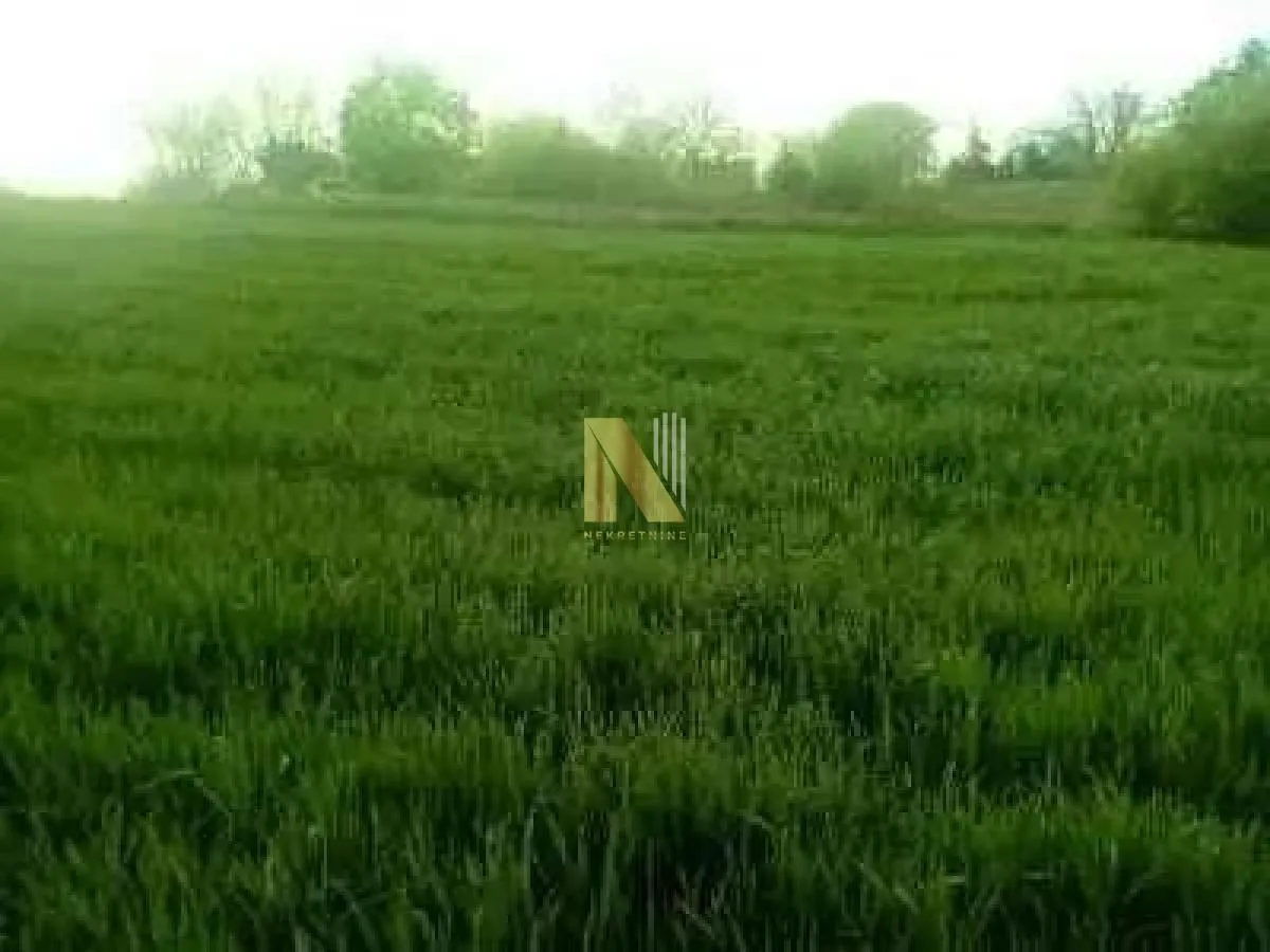 Prodaja, plac, 5060m², Čortanovci, Inđija