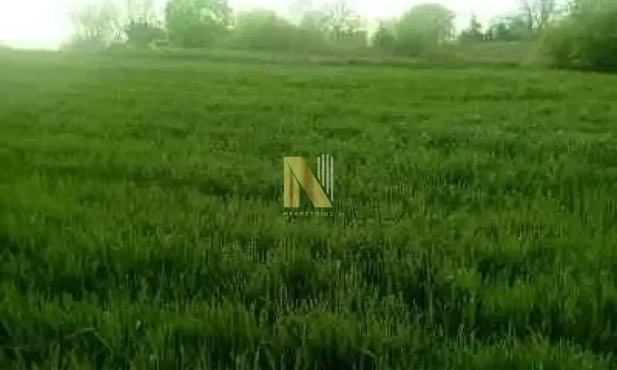 Prodaja, plac, 5060m², Čortanovci, Inđija