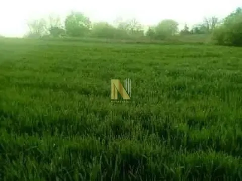 Zemljište in Čortanovci