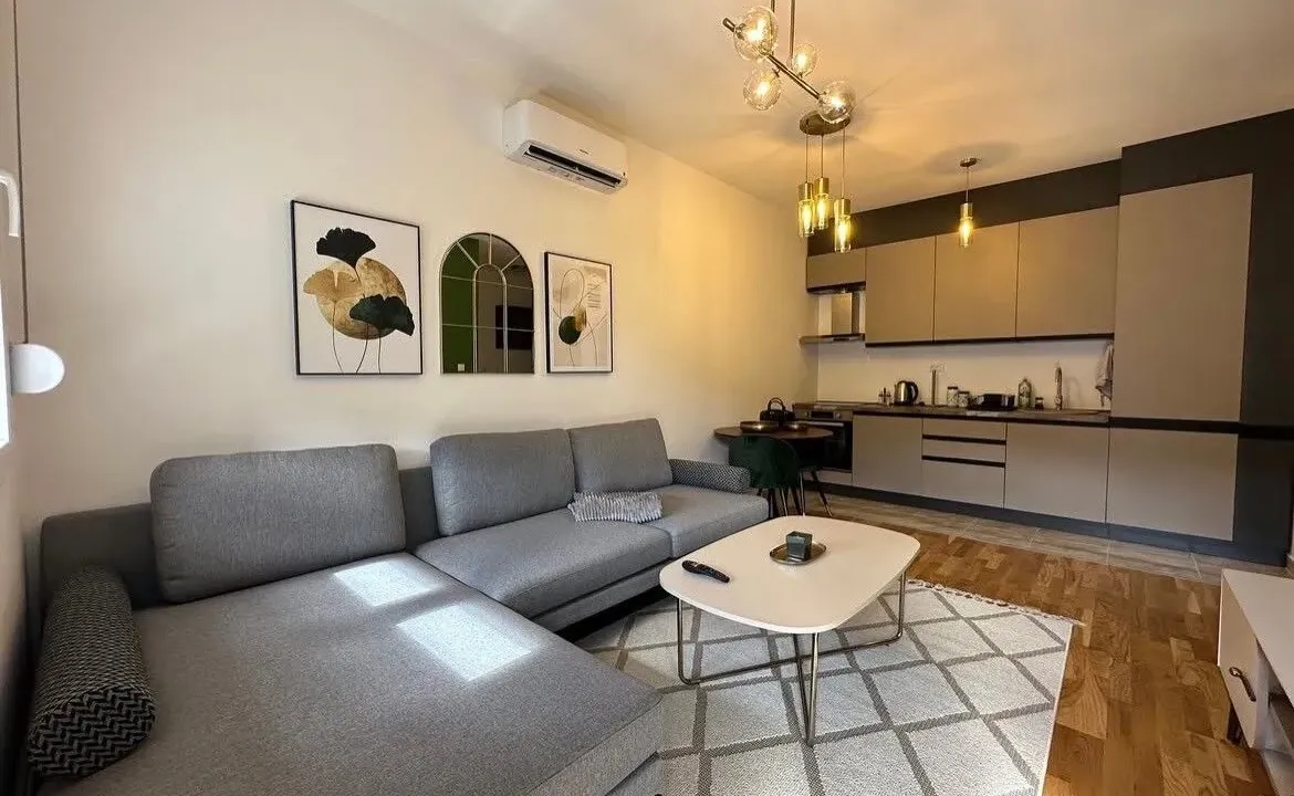 Izdavanje, jednosoban stan, 45m², Zabjelo, Podgorica