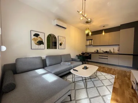 Rent, one bedroom apartment, 45m², Zabjelo, Podgorica - image 1