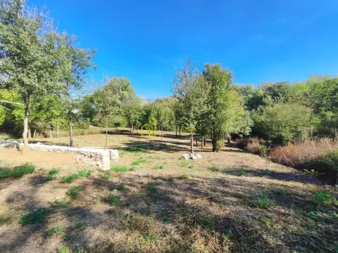 View of a spacious green yard with trees and low vegetation. - image 6
