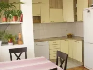 Izdavanje, jednosoban stan, 50m², Stari Aerodrom, Podgorica - image 6