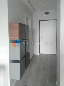 Izdavanje, dvosoban stan, 45m², Stari Grad, Beograd - image 6