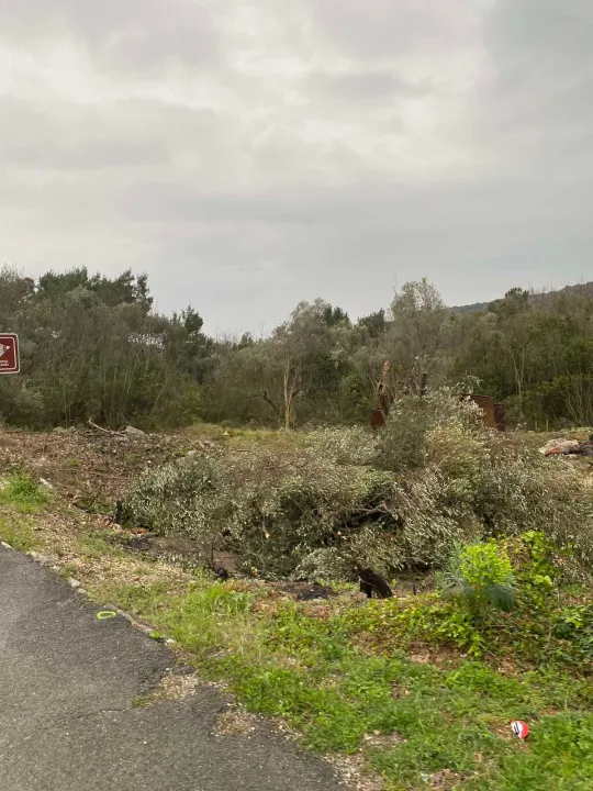 Prodaja, plac, 707m², Luštica, Herceg Novi