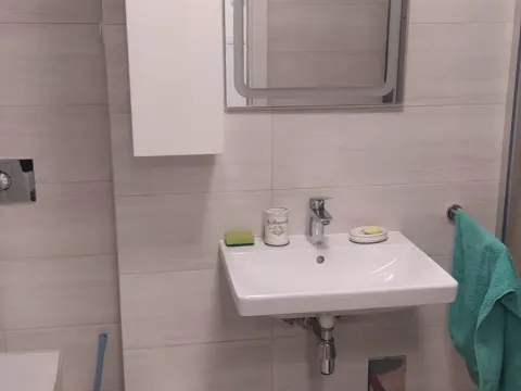 Izdavanje, dvosoban stan, 55m², Novi Beograd Blok 65, Novi Beograd Sve Podlokacije - image 10