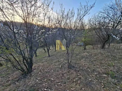 Zasađeni plac sa voćem i drvećem. - image 8