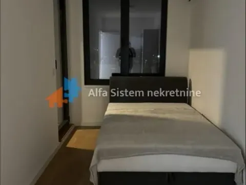 Izdavanje, dvosoban stan, 48m², Novi Beograd Sve Podlokacije, Beograd - image 14