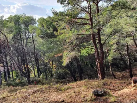 Prodaja, plac, 1028m², Bar, Crna Gora - image 7