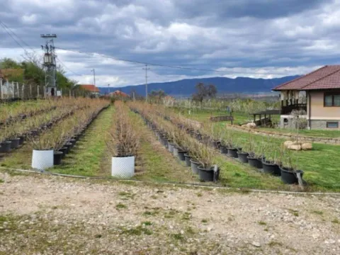 Prodaja, kuća, 250m², Žbevac, Bujanovac - image 11