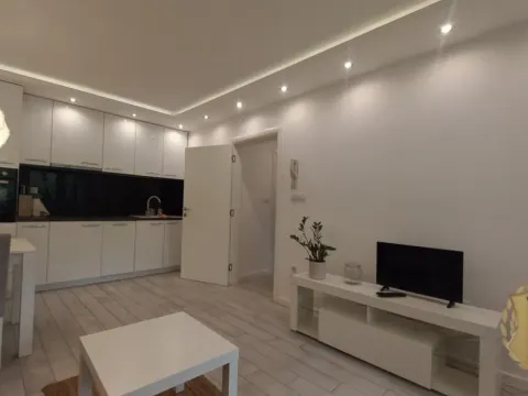 Izdavanje, dvosoban stan, 50m², Voždovac Sve Podlokacije, Beograd - image 5