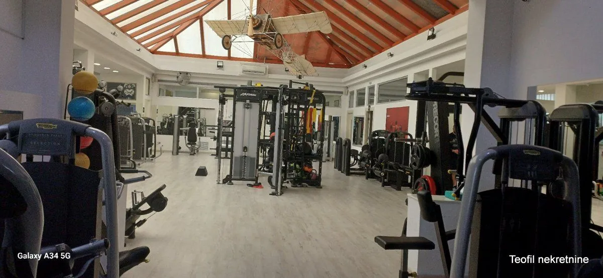 Prodaja, poslovni prostor, 1000m², Vračar, Šid