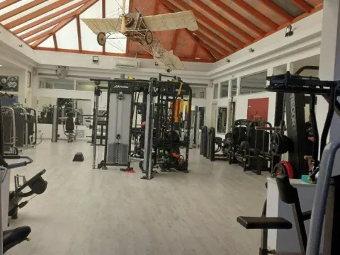 Prodaja, poslovni prostor, 1000m², Vračar, Šid