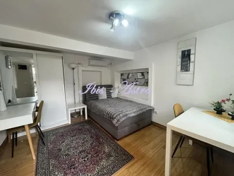 Izdavanje, jednosoban stan, 20m², Stari Grad, Beograd - image 3