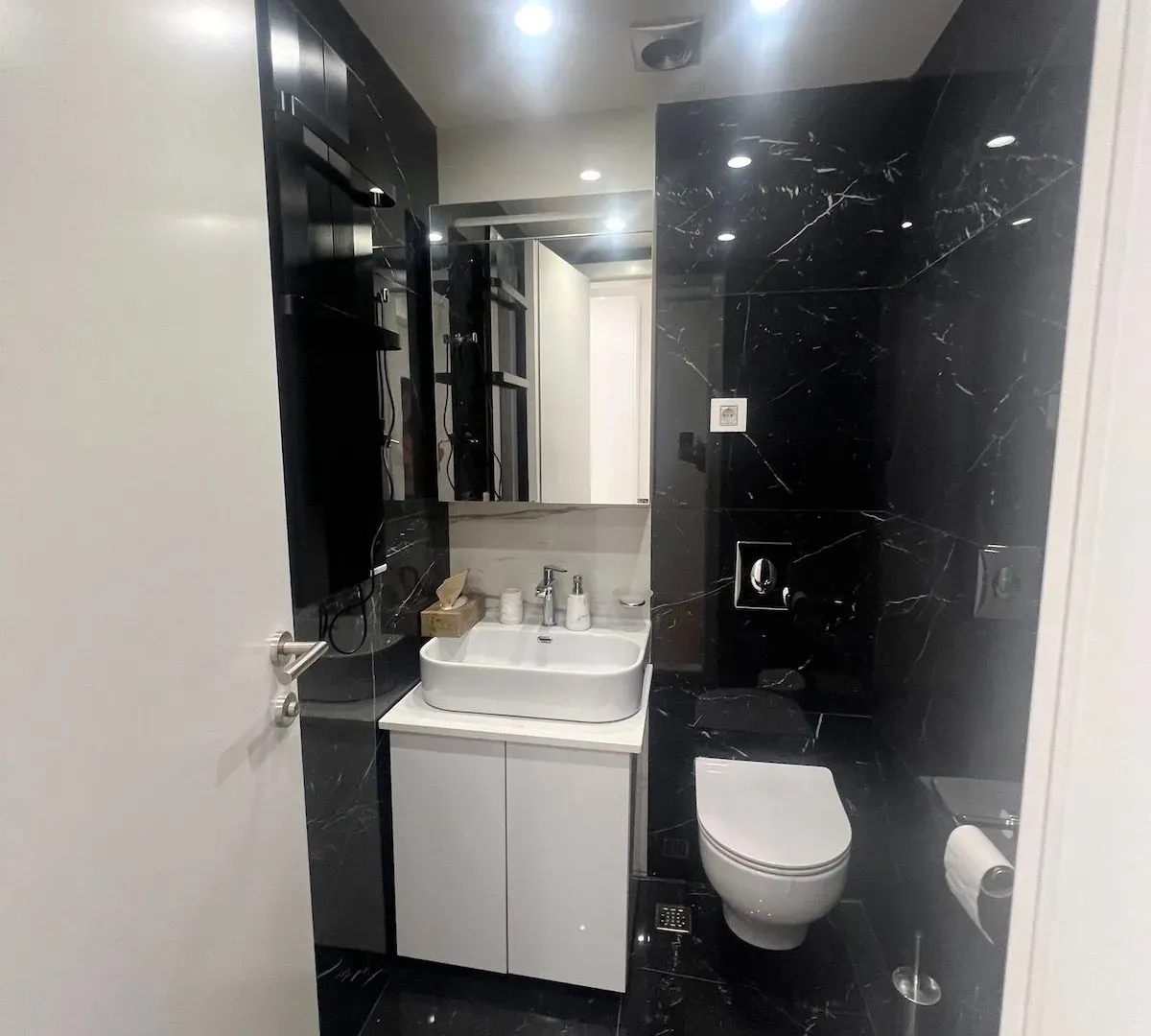 Rent, four bedroom apartment, 205m², Vračar Hram, Vračar Sve Podlokacije